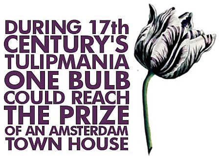 One Tulip = Amsterdam Townhouse